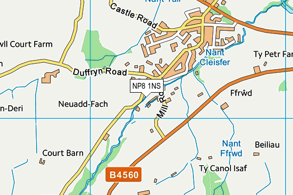 NP8 1NS map - OS VectorMap District (Ordnance Survey)