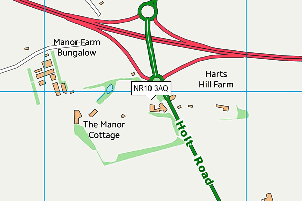 Manor Park Sports Ground map (NR10 3AQ) - OS VectorMap District (Ordnance Survey)