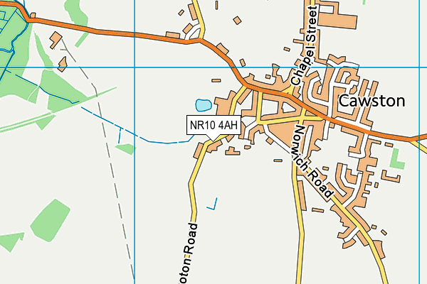 NR10 4AH map - OS VectorMap District (Ordnance Survey)