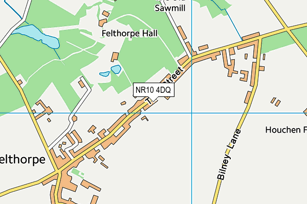 Felthorpe Recreation Ground map (NR10 4DQ) - OS VectorMap District (Ordnance Survey)