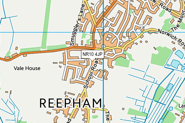 Reepham Primary School map (NR10 4JP) - OS VectorMap District (Ordnance Survey)