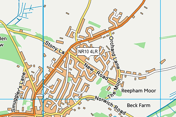 NR10 4LR map - OS VectorMap District (Ordnance Survey)