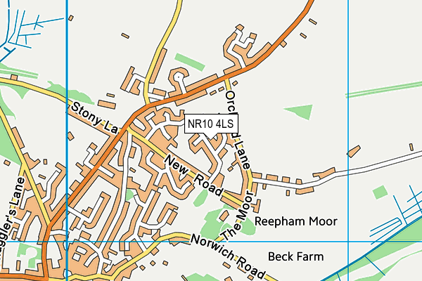 NR10 4LS map - OS VectorMap District (Ordnance Survey)