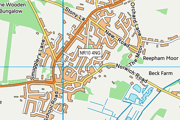 NR10 4NG map - OS VectorMap District (Ordnance Survey)