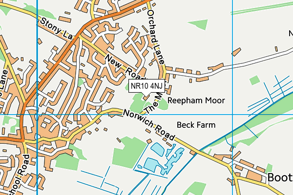 NR10 4NJ map - OS VectorMap District (Ordnance Survey)