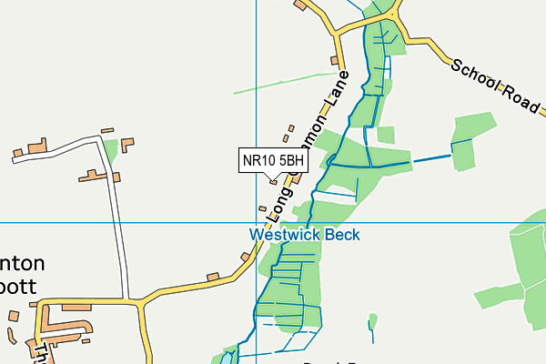 NR10 5BH map - OS VectorMap District (Ordnance Survey)