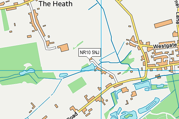 NR10 5NJ map - OS VectorMap District (Ordnance Survey)