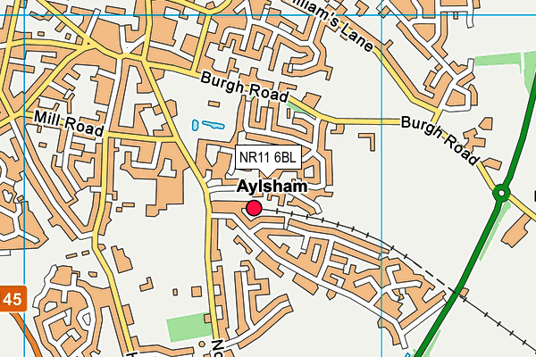 NR11 6BL map - OS VectorMap District (Ordnance Survey)