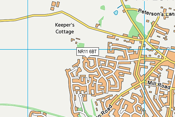 NR11 6BT map - OS VectorMap District (Ordnance Survey)