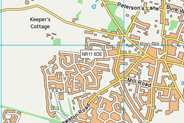 NR11 6DE map - OS VectorMap District (Ordnance Survey)