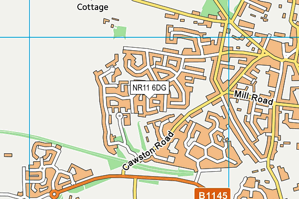 NR11 6DG map - OS VectorMap District (Ordnance Survey)