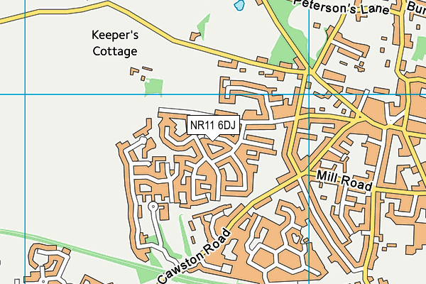 NR11 6DJ map - OS VectorMap District (Ordnance Survey)