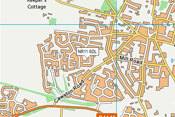 NR11 6DL map - OS VectorMap District (Ordnance Survey)