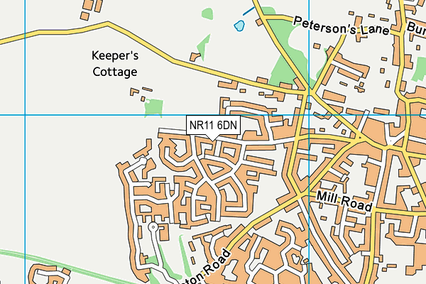 NR11 6DN map - OS VectorMap District (Ordnance Survey)