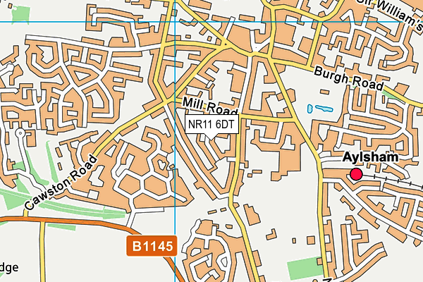 NR11 6DT map - OS VectorMap District (Ordnance Survey)