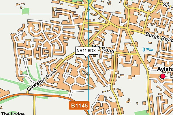 NR11 6DX map - OS VectorMap District (Ordnance Survey)