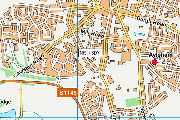 NR11 6DY map - OS VectorMap District (Ordnance Survey)