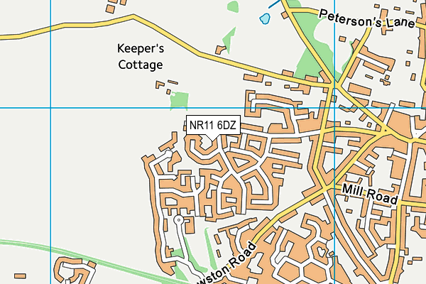 NR11 6DZ map - OS VectorMap District (Ordnance Survey)