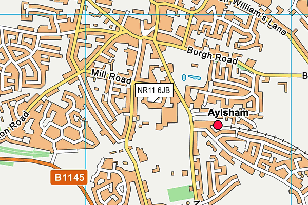 NR11 6JB map - OS VectorMap District (Ordnance Survey)