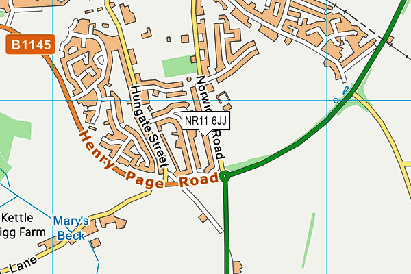 NR11 6JJ map - OS VectorMap District (Ordnance Survey)