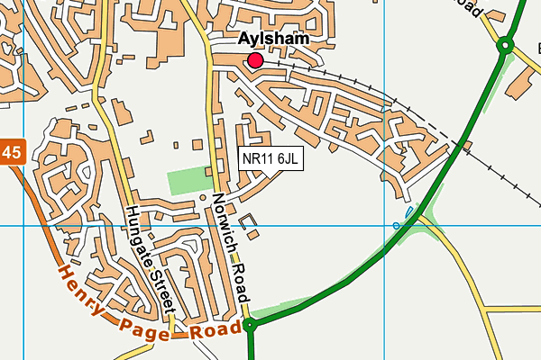 NR11 6JL map - OS VectorMap District (Ordnance Survey)