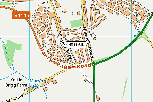 NR11 6JN map - OS VectorMap District (Ordnance Survey)