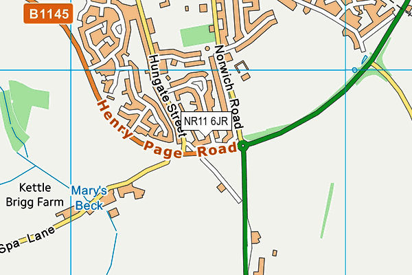 NR11 6JR map - OS VectorMap District (Ordnance Survey)