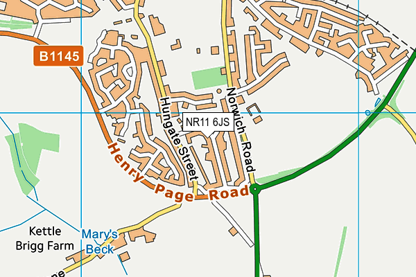 NR11 6JS map - OS VectorMap District (Ordnance Survey)