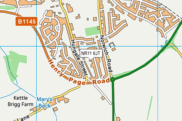 NR11 6JT map - OS VectorMap District (Ordnance Survey)
