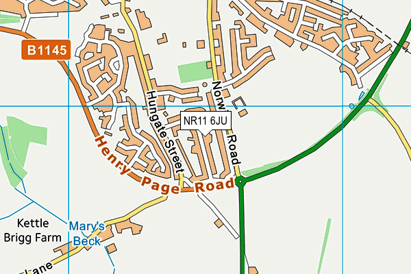 NR11 6JU map - OS VectorMap District (Ordnance Survey)