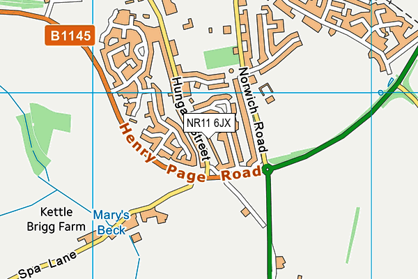 NR11 6JX map - OS VectorMap District (Ordnance Survey)