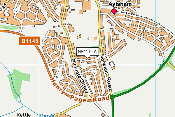 NR11 6LA map - OS VectorMap District (Ordnance Survey)