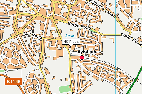 NR11 6LE map - OS VectorMap District (Ordnance Survey)