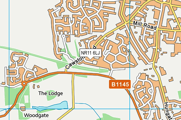 NR11 6LJ map - OS VectorMap District (Ordnance Survey)