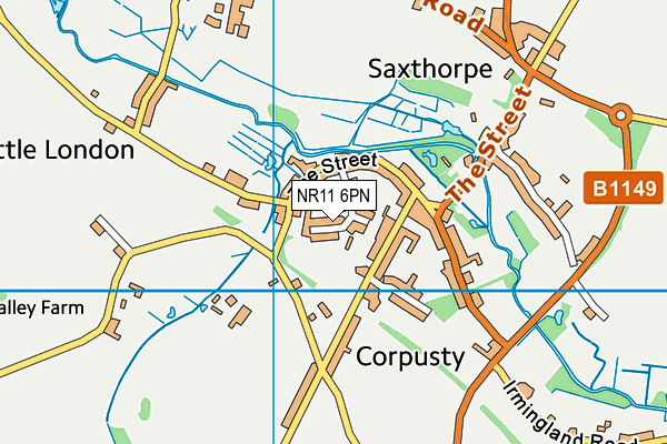 NR11 6PN map - OS VectorMap District (Ordnance Survey)