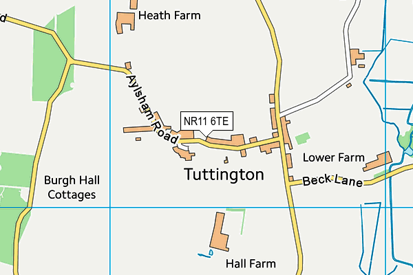 NR11 6TE map - OS VectorMap District (Ordnance Survey)