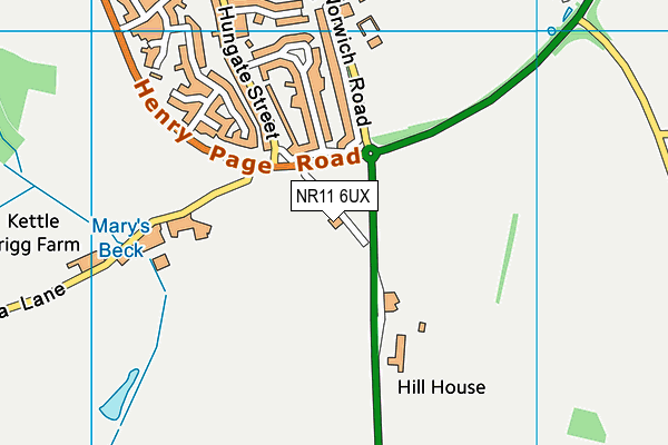 NR11 6UX map - OS VectorMap District (Ordnance Survey)