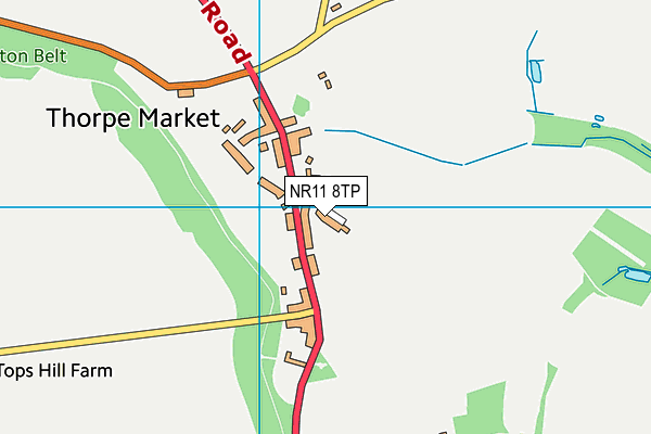 NR11 8TP map - OS VectorMap District (Ordnance Survey)