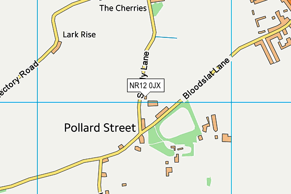 NR12 0JX map - OS VectorMap District (Ordnance Survey)