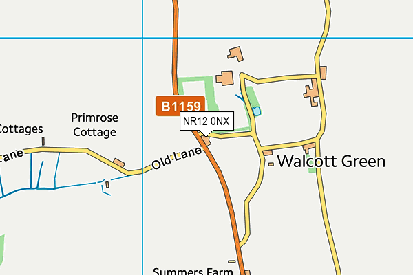 NR12 0NX map - OS VectorMap District (Ordnance Survey)