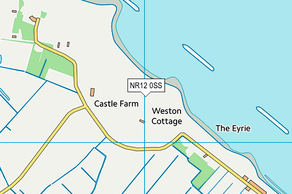 NR12 0SS map - OS VectorMap District (Ordnance Survey)
