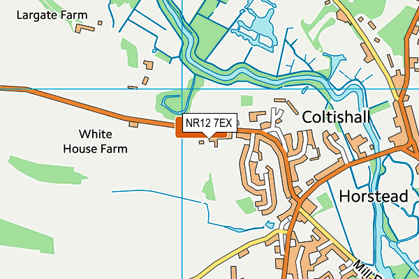 NR12 7EX map - OS VectorMap District (Ordnance Survey)