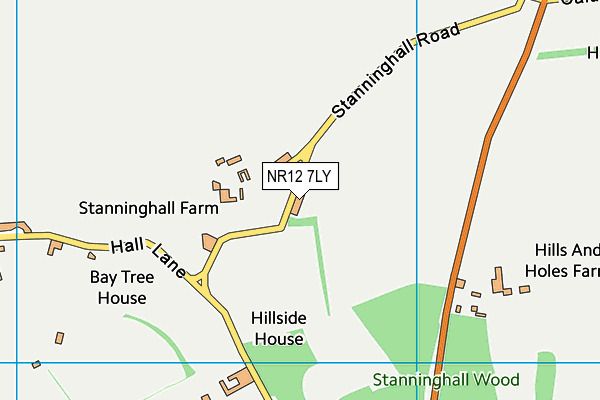 NR12 7LY map - OS VectorMap District (Ordnance Survey)