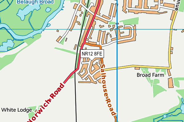 NR12 8FE map - OS VectorMap District (Ordnance Survey)