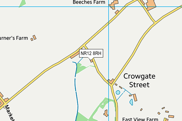 NR12 8RH map - OS VectorMap District (Ordnance Survey)