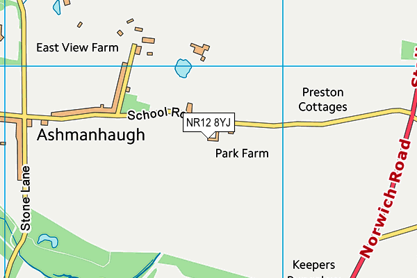 NR12 8YJ map - OS VectorMap District (Ordnance Survey)
