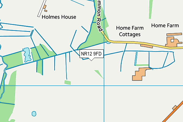 NR12 9FD map - OS VectorMap District (Ordnance Survey)