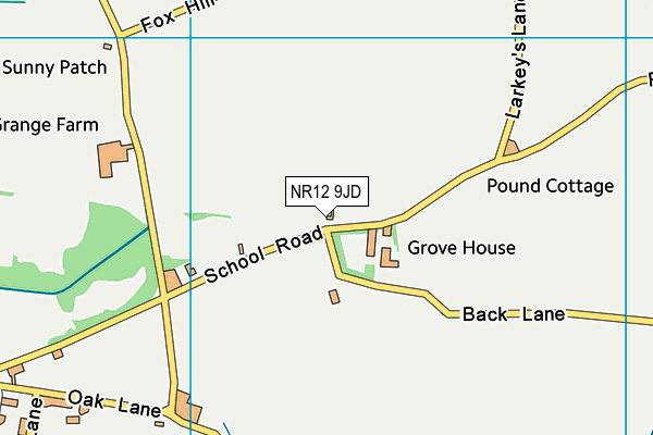 East Ruston Recreation Ground map (NR12 9JD) - OS VectorMap District (Ordnance Survey)