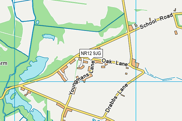 NR12 9JG map - OS VectorMap District (Ordnance Survey)