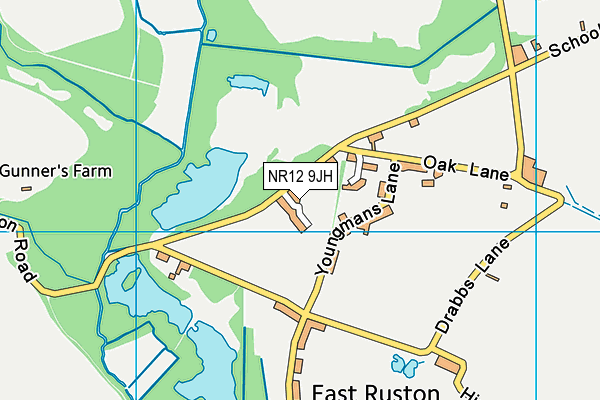 NR12 9JH map - OS VectorMap District (Ordnance Survey)